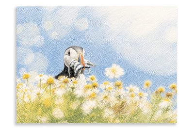 Skomer Island Summer Puffins - Artistic